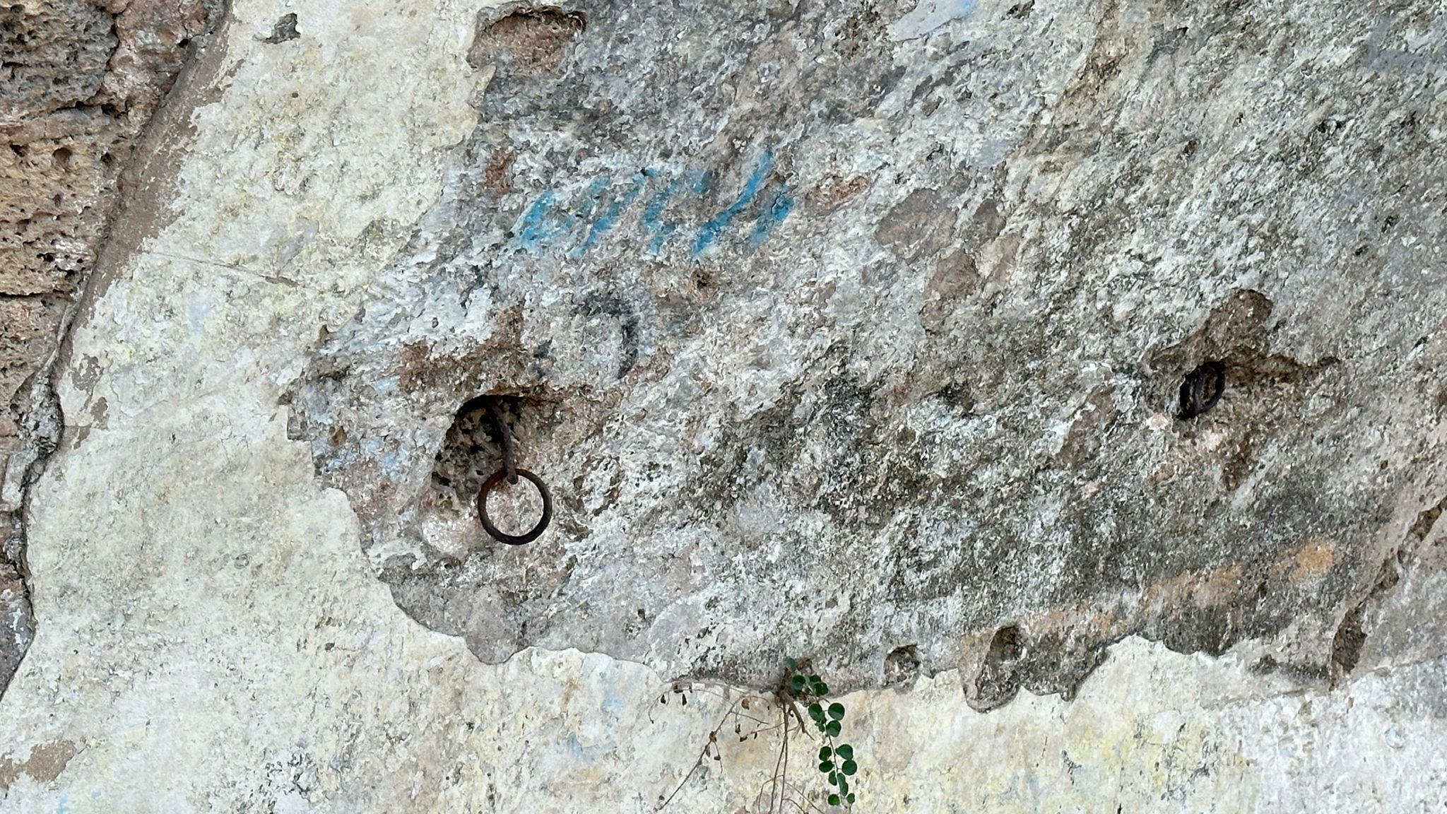 WhatsApp Image 2024-01-06 at 10.25.31.jpg